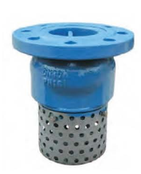 FOOT VALVE